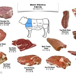 Beef primal cuts worksheet answers