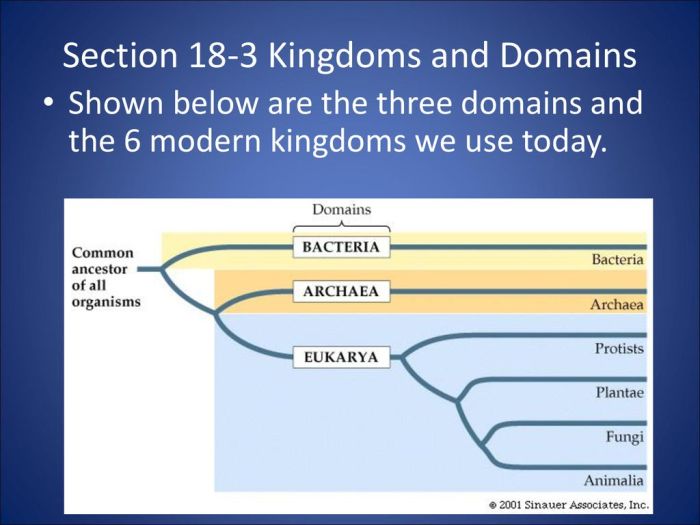 Section 18 3 kingdoms and domains