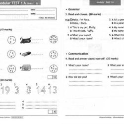 Foolproof module 11 test answers