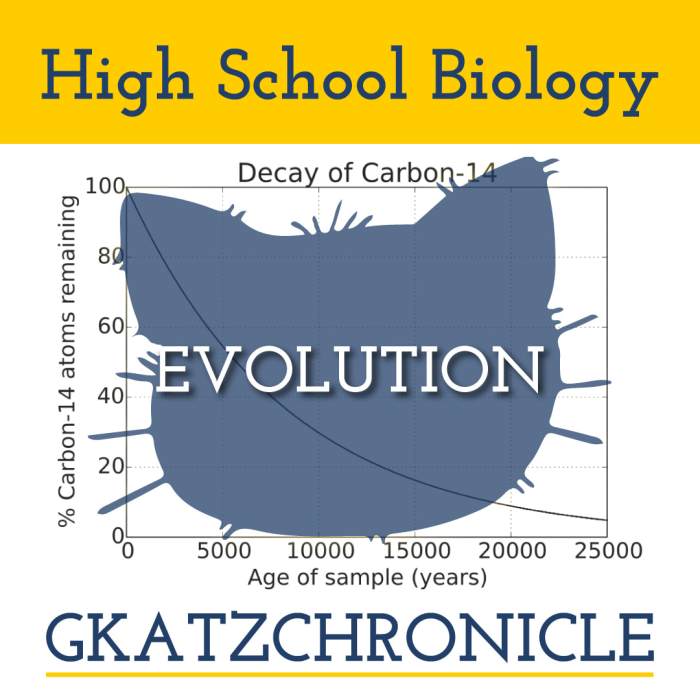 Evolution in action graphing and statistics