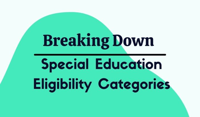 Special education supplemental vs special education ec-12